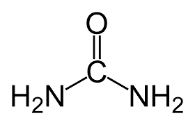 carbamide peroxide